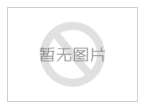 中国高价收购纳迦地区冬季石甲虫（石蛾）